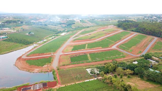 Lâm Đồng xử lý nghiêm nạn phân lô, bán nền tràn lan